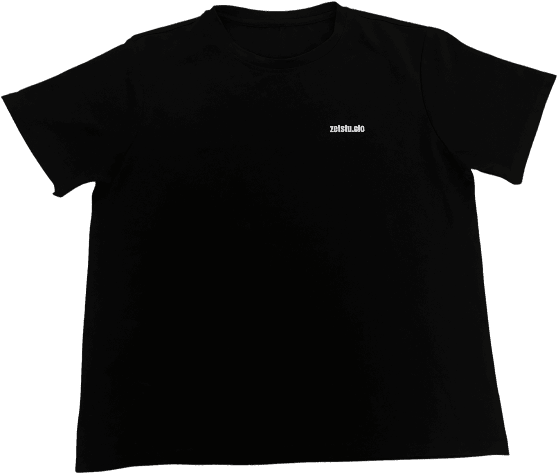 T-SHIRT RULE On Model
